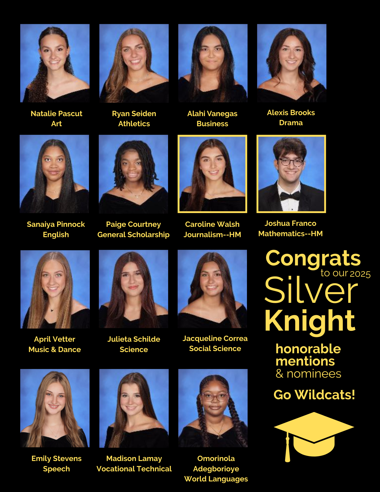  silver knight banner